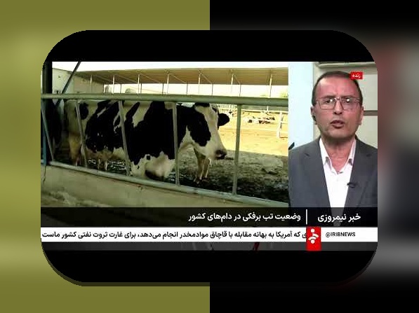 نصیحت‌های قابل اعتماد از یک دوست برای کاهش ریسک مصدومیت گلف: راهکارهای insider و پیشگیری عملی